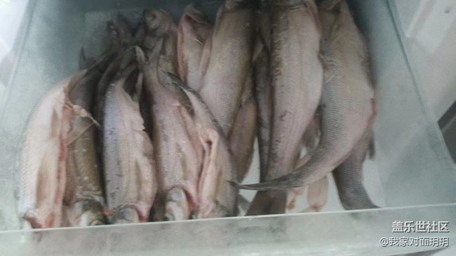 【夏日炎炎】钓鱼