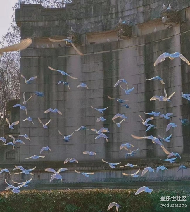 【夏日炎炎】悠闲一天