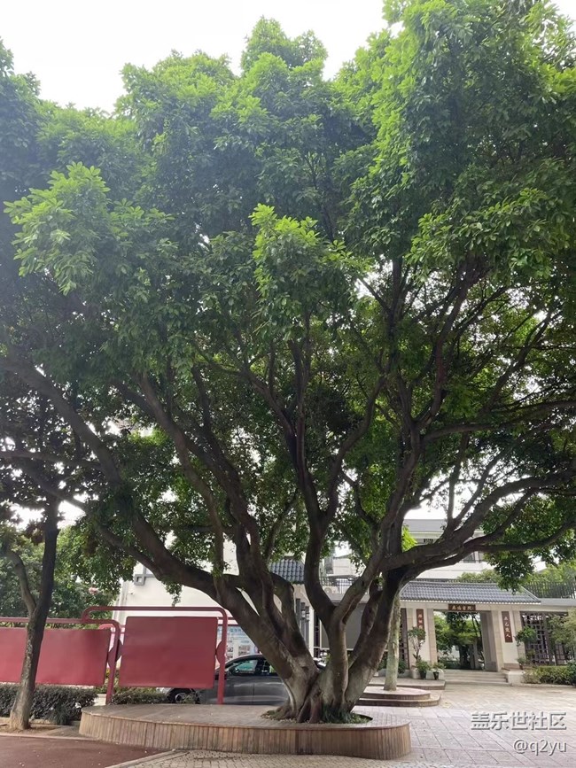 【捕捉夏日美好】参观学校