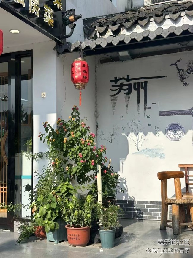 【捕捉夏日美好】回家了