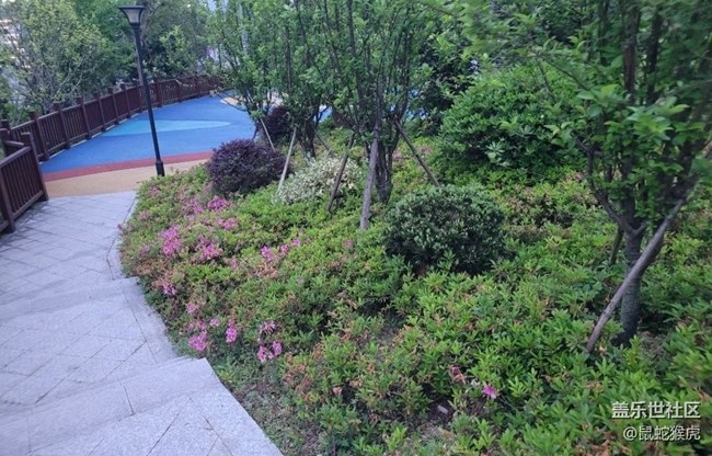 【夏日炎炎】公园