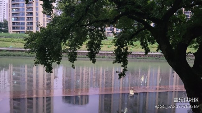 【那年初秋】清晨