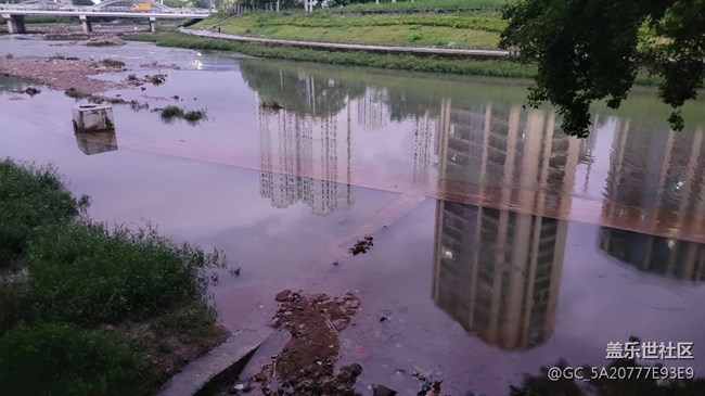 【那年初秋】清晨