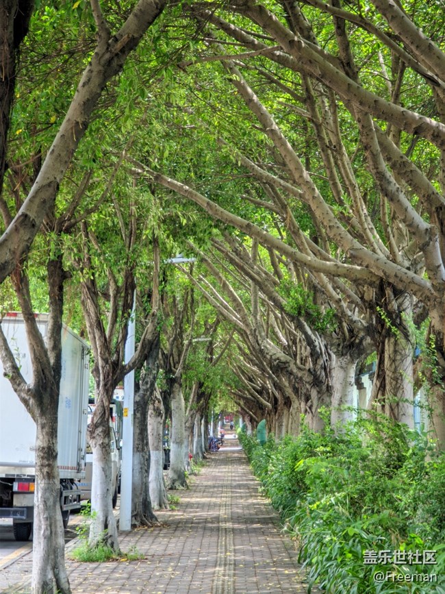 【长焦距下的城市之美】美好瞬间