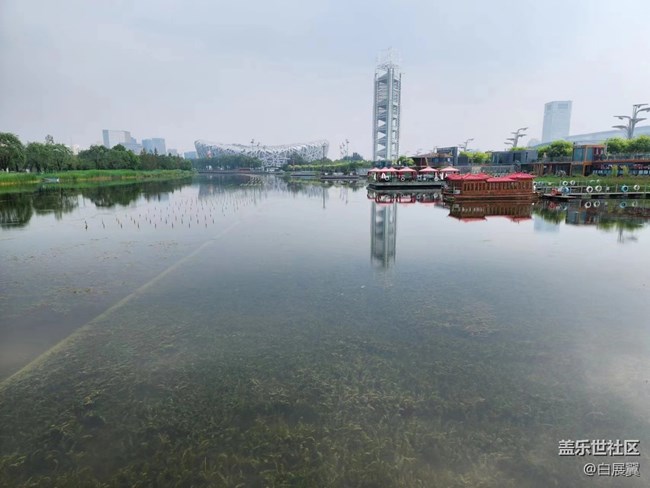 【捕捉夏日美好】芦苇荡荷花丛