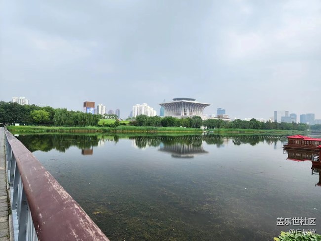 【捕捉夏日美好】芦苇荡荷花丛