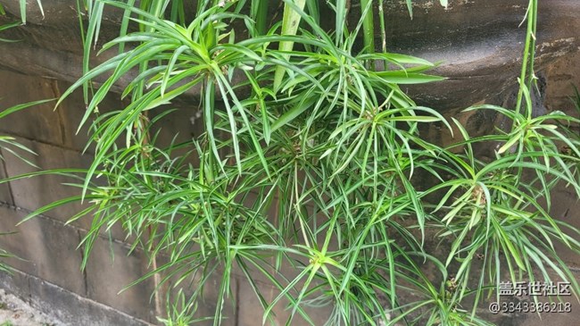 【那年初秋】小巷子