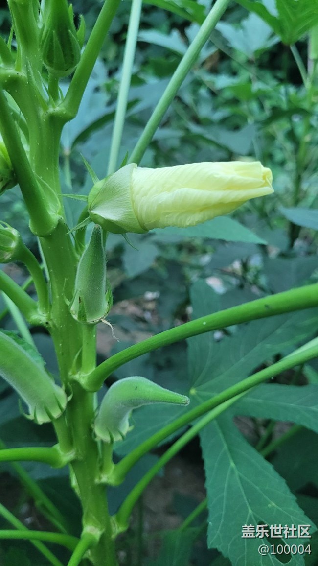 #我喜欢的摄影模式——自由模式
