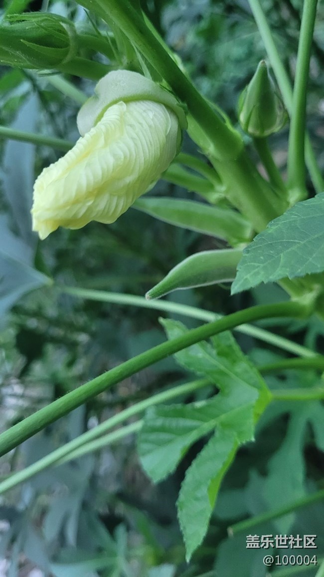 #我喜欢的摄影模式——自由模式