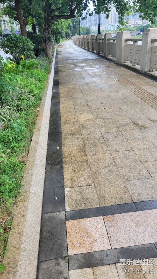 【街景】绿化道
