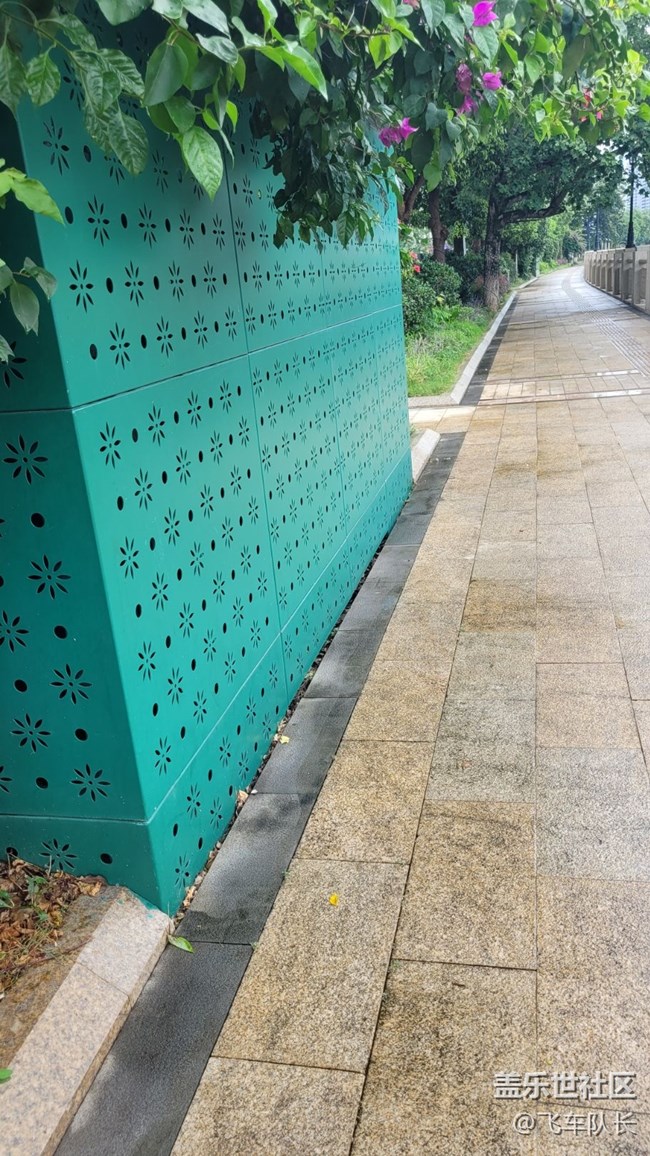 【街景】绿化道