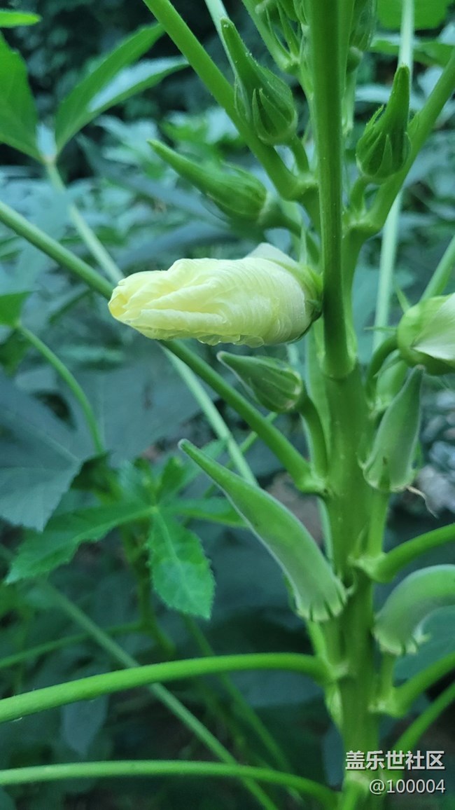#我喜欢的摄影模式——自由模式