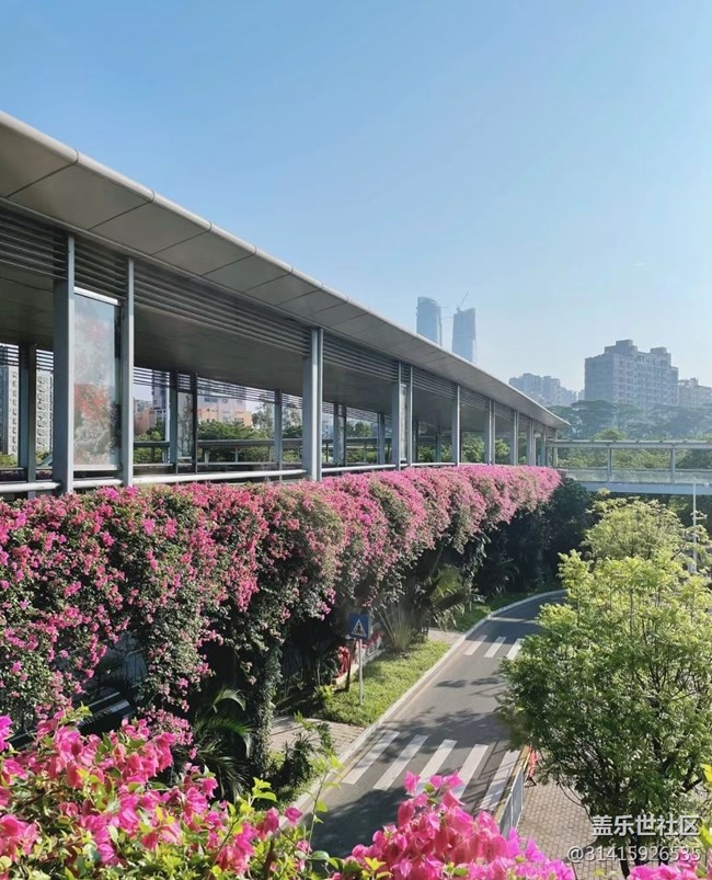 【街景】中午时分