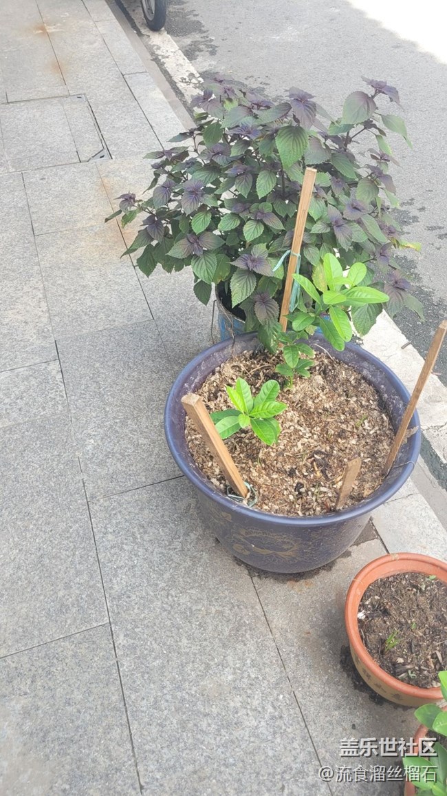 【街景】大街小巷