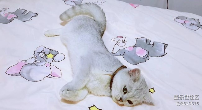 #我喜欢的摄影模式——随心拍