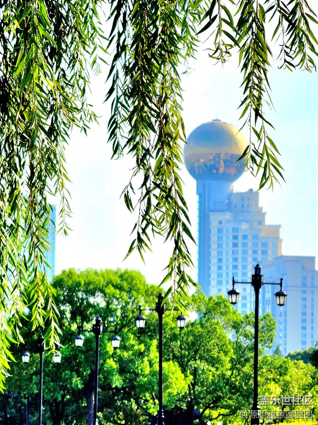 【汉口江滩】摄影活动 总结帖