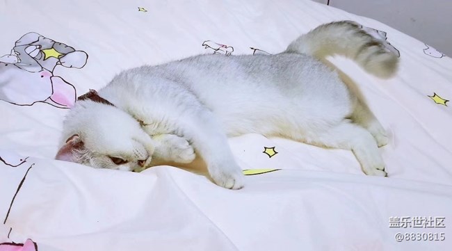 #我喜欢的摄影模式——随心拍
