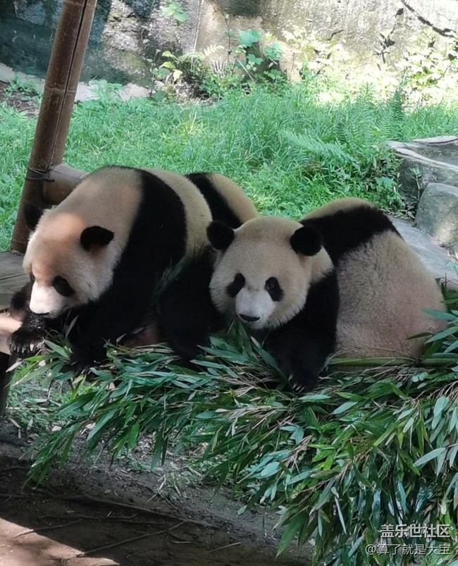 【申请中】重庆星部落 线下摄影活动