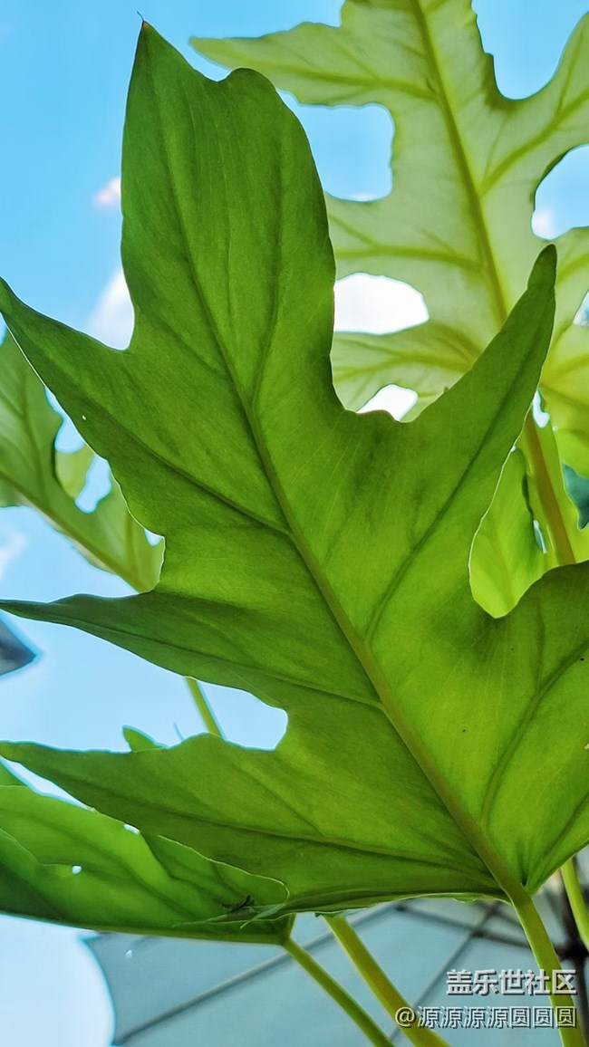 【汉口江滩】摄影活动 总结帖