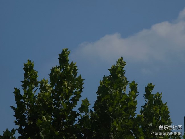 【汉口江滩】摄影活动 总结帖