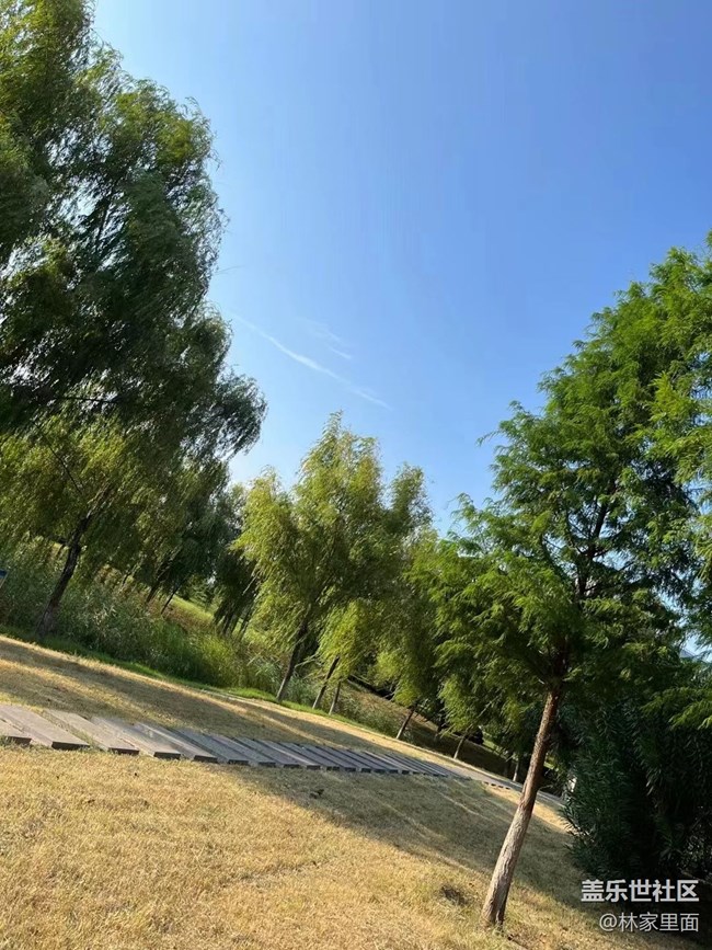 【那年初秋】秋风起