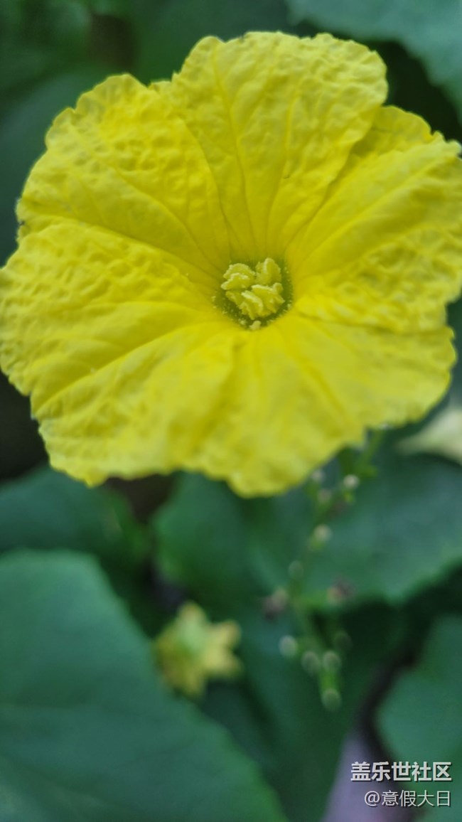 #我喜欢的摄影模式——近拍模式