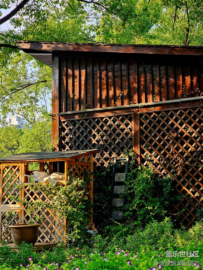 【汉口江滩】摄影活动 总结帖