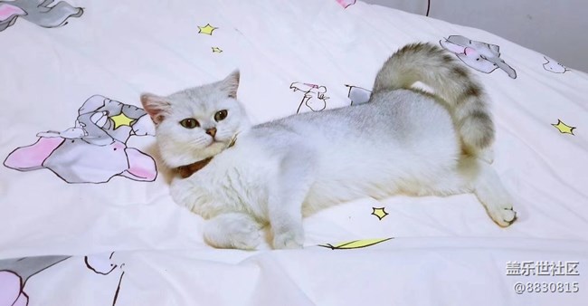 #我喜欢的摄影模式——随心拍
