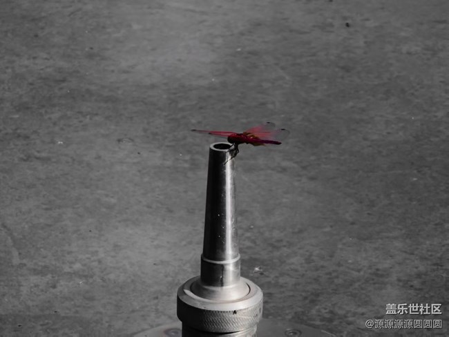 【汉口江滩】摄影活动 总结帖