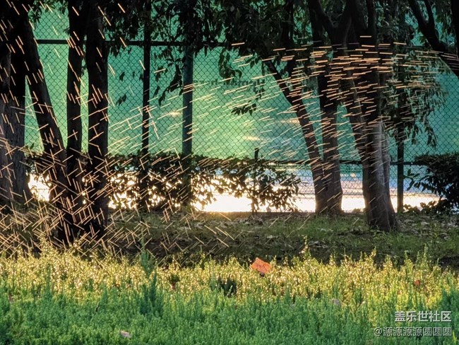 【汉口江滩】摄影活动 总结帖