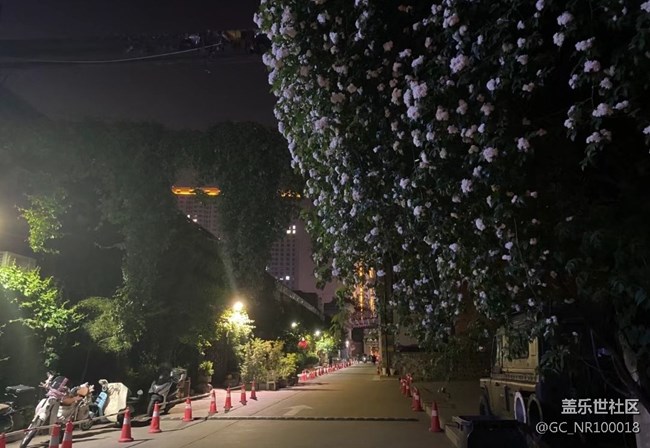 【街景】幽静的街景