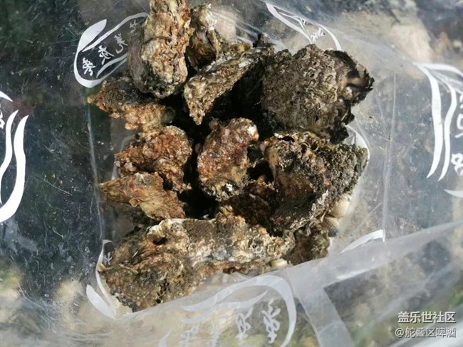 【捕捉夏日美好】赶海的一天