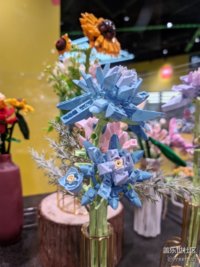 【寻一份美好】爱的花朵