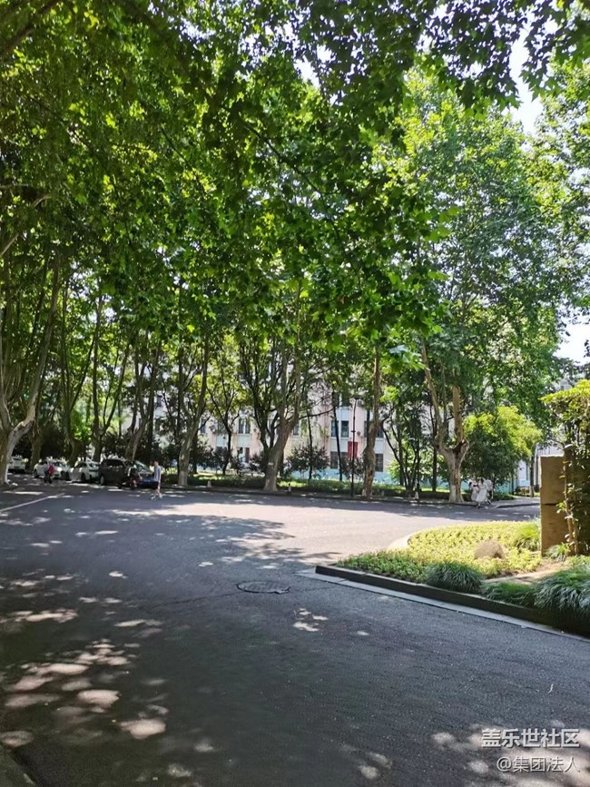 【街景】杭城