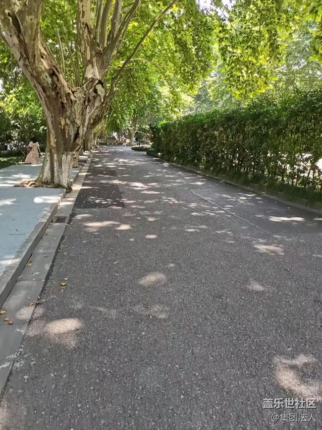 【街景】杭城