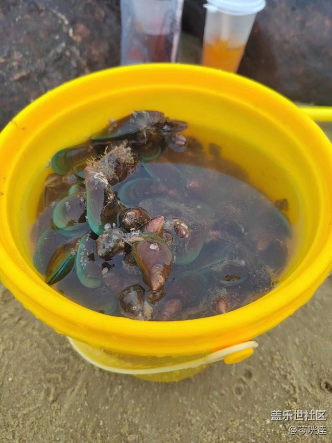 【捕捉夏日美好】大海