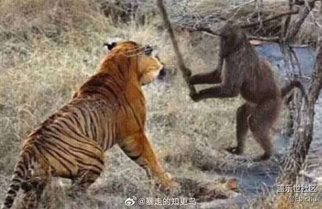 看图说话,试答贴中图案在描述什么?