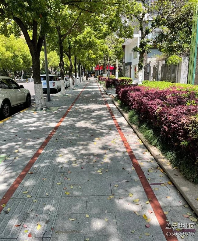 【街景】街景随拍