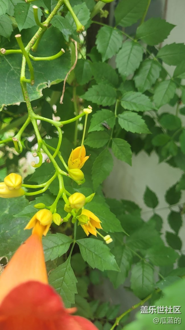 #我喜欢的摄影模式——原生模式