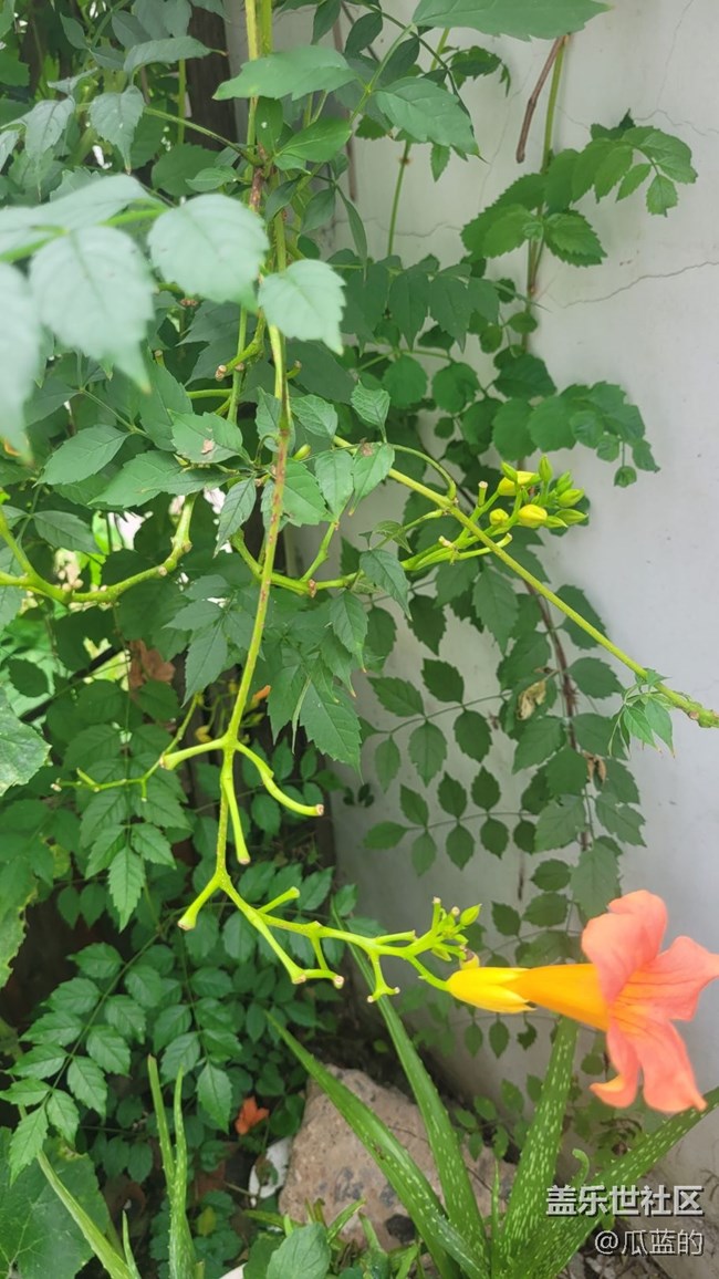 #我喜欢的摄影模式——原生模式