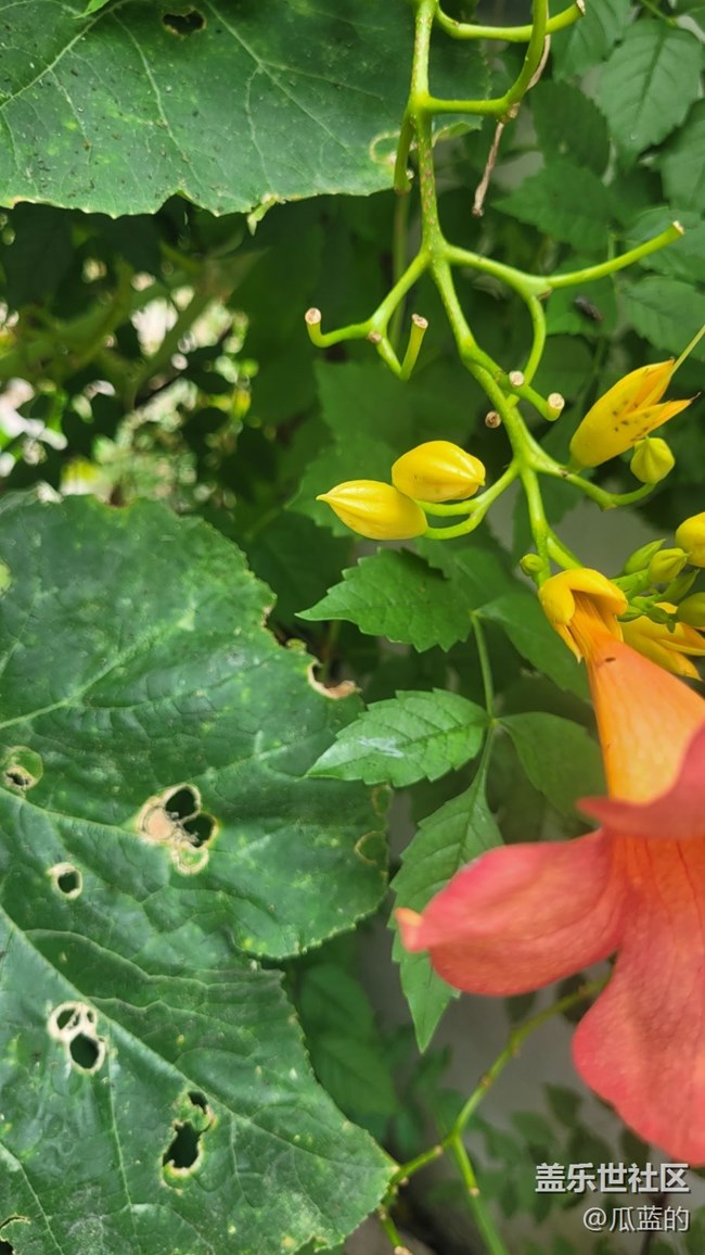 #我喜欢的摄影模式——原生模式