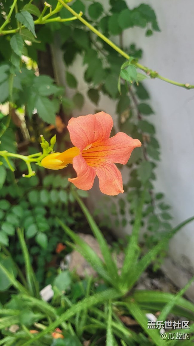 #我喜欢的摄影模式——原生模式