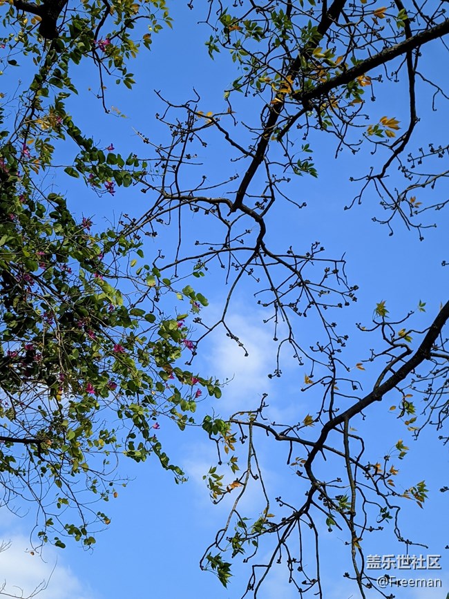 【那年初秋】漫步花海之间