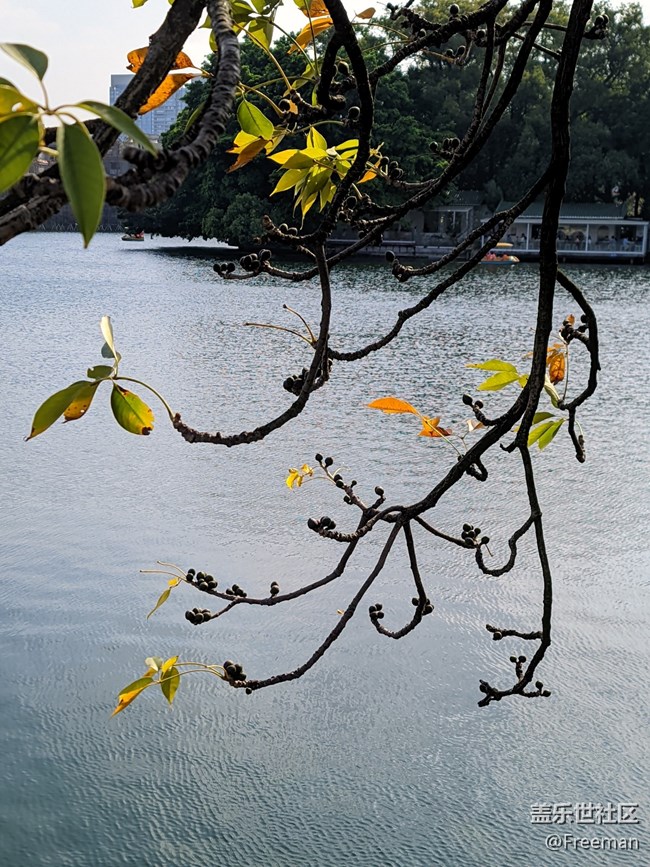 【那年初秋】漫步花海之间