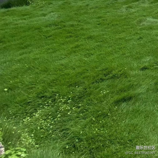 【那年初秋】自然景色