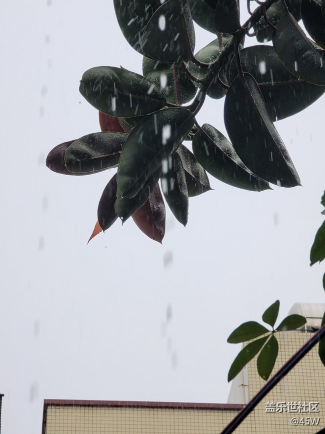 【会说话的照片】哗啦啦的雨声