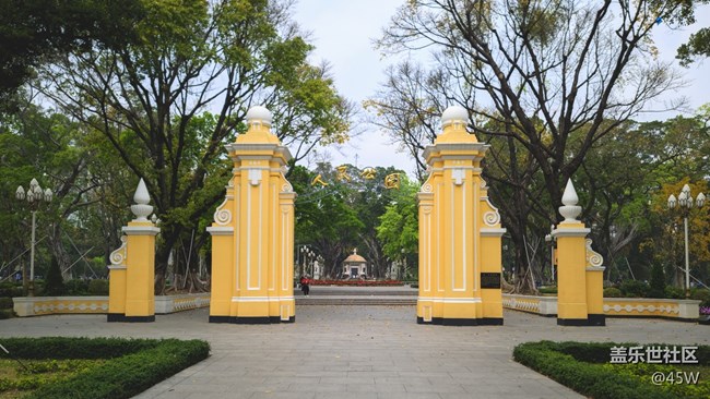 【捕捉夏日美好】夏天公园的快乐和活力