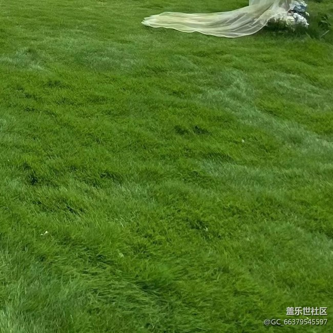 【那年初秋】自然景色