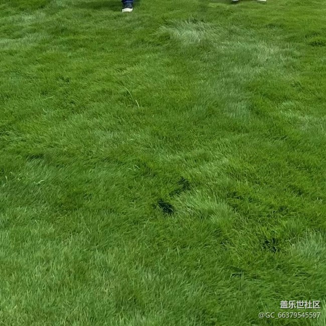 【那年初秋】自然景色