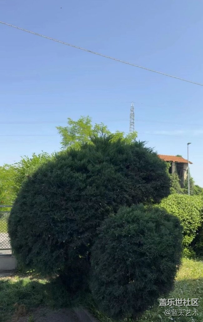 【那年初秋】随手拍